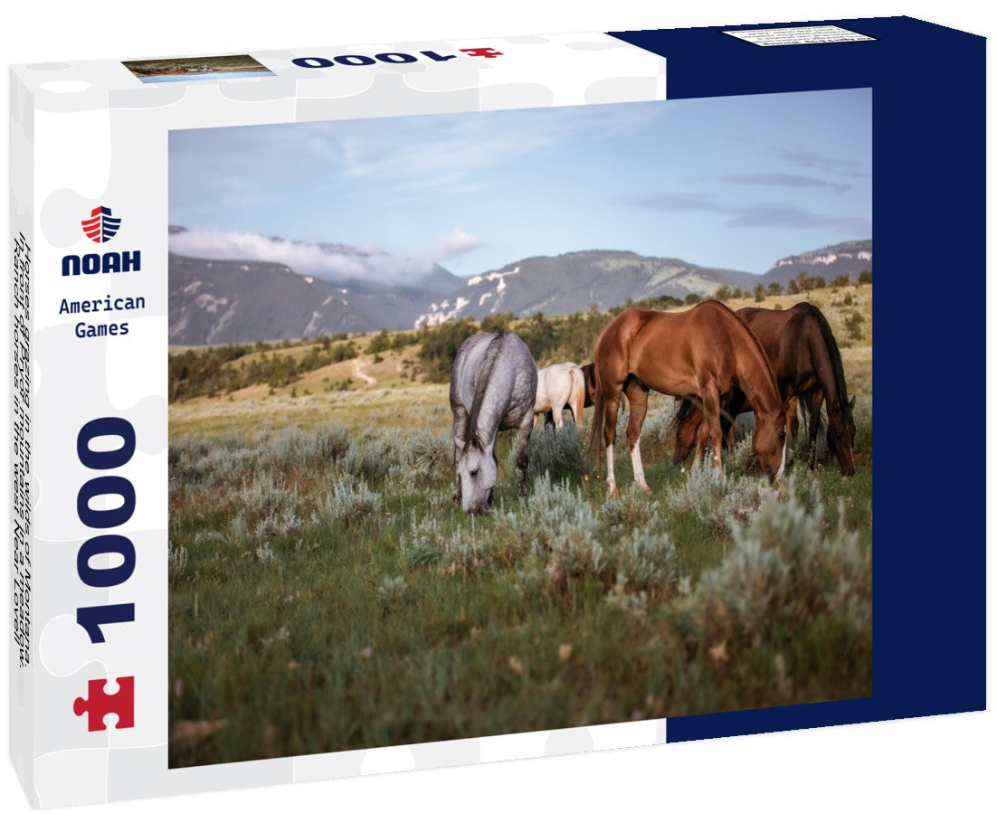 Noah Jigsaw Puzzle Horses grazing in the wilds of Montana. In front of Pryor mountains in a meadow. Ranch horses in the west Near Lovell Wyoming, and Billings Montana 1000 pieces