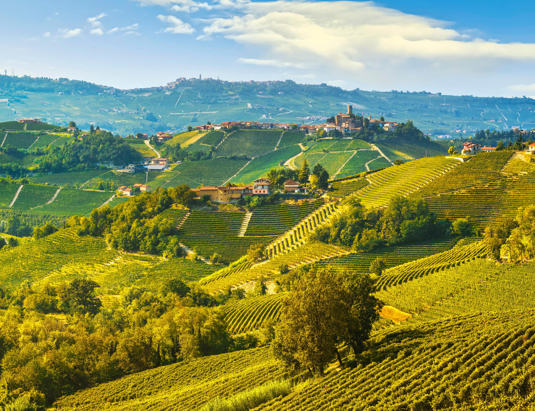 Noah Jigsaw Puzzle Langhe vineyards landscape and Castiglione Falletto village panorama, Unesco site, Piedmont, northern Italy 1000 pieces