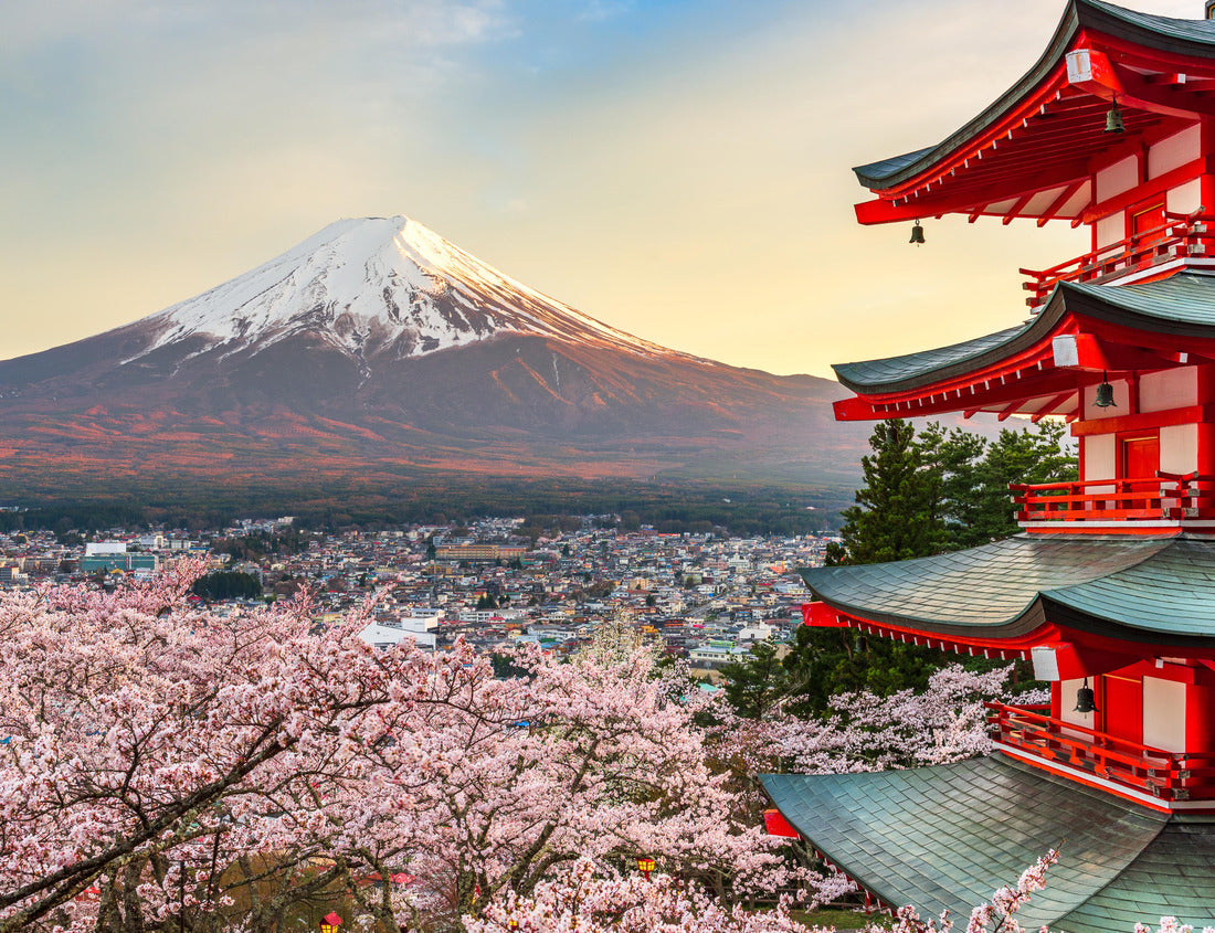 Noah Jigsaw Puzzle Fujiyoshida, Japan at Chureito Pagoda and Mt. Fuji in the spring with cherry blossoms 1000 pieces