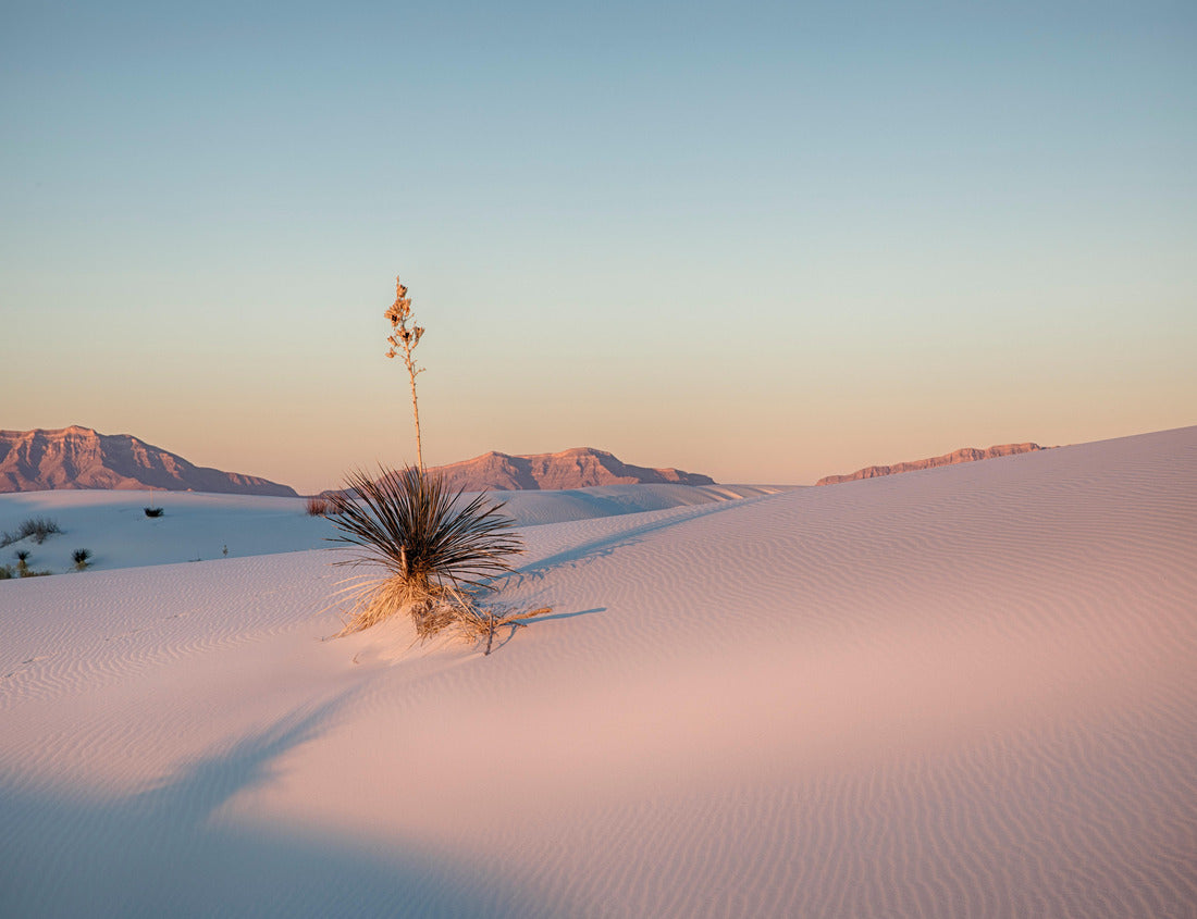 Noah Jigsaw Puzzle Adam's Needle in White Sands National Park 1000 pieces
