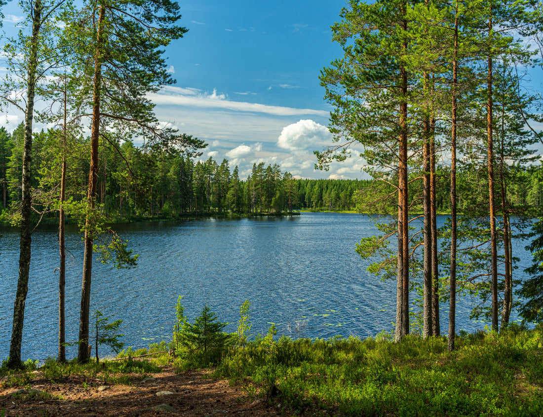 Noah Jigsaw Puzzle Beautiful view of the lake from a small lake in Sweden, with lush green trees, blue sky and sunlight 1000 pieces