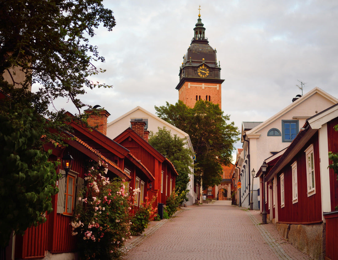 Noah Jigsaw Puzzle An empty street to the cathedral. Traditional swedish architecture. Strängnäs, Mälaren lake, Sweden 1000 pieces