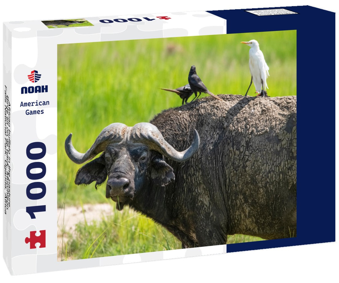 Noah Jigsaw Puzzle African buffalo in the pasture. Birds sit on its back. Murchison Falls National Park. Uganda, Africa 1000 pieces