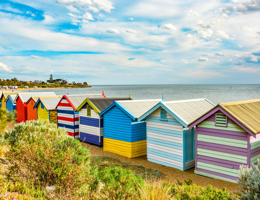Noah Jigsaw Puzzle Colorful beach houses (bathing boxes) under a summer sky at Brighton Beach, Melbourne, Australia 1000 pieces