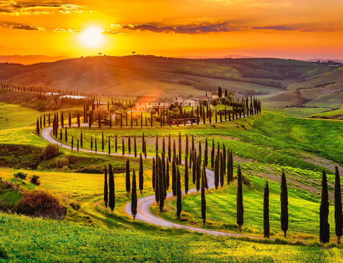 Noah Jigsaw Puzzle Beautiful view from Tuscany, Italy 1000 pieces