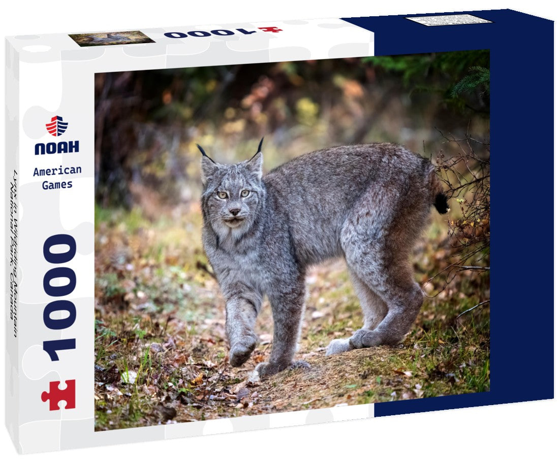 Noah Jigsaw Puzzle Lynx in Wildriding Mountain National Park, Canada 1000 pieces