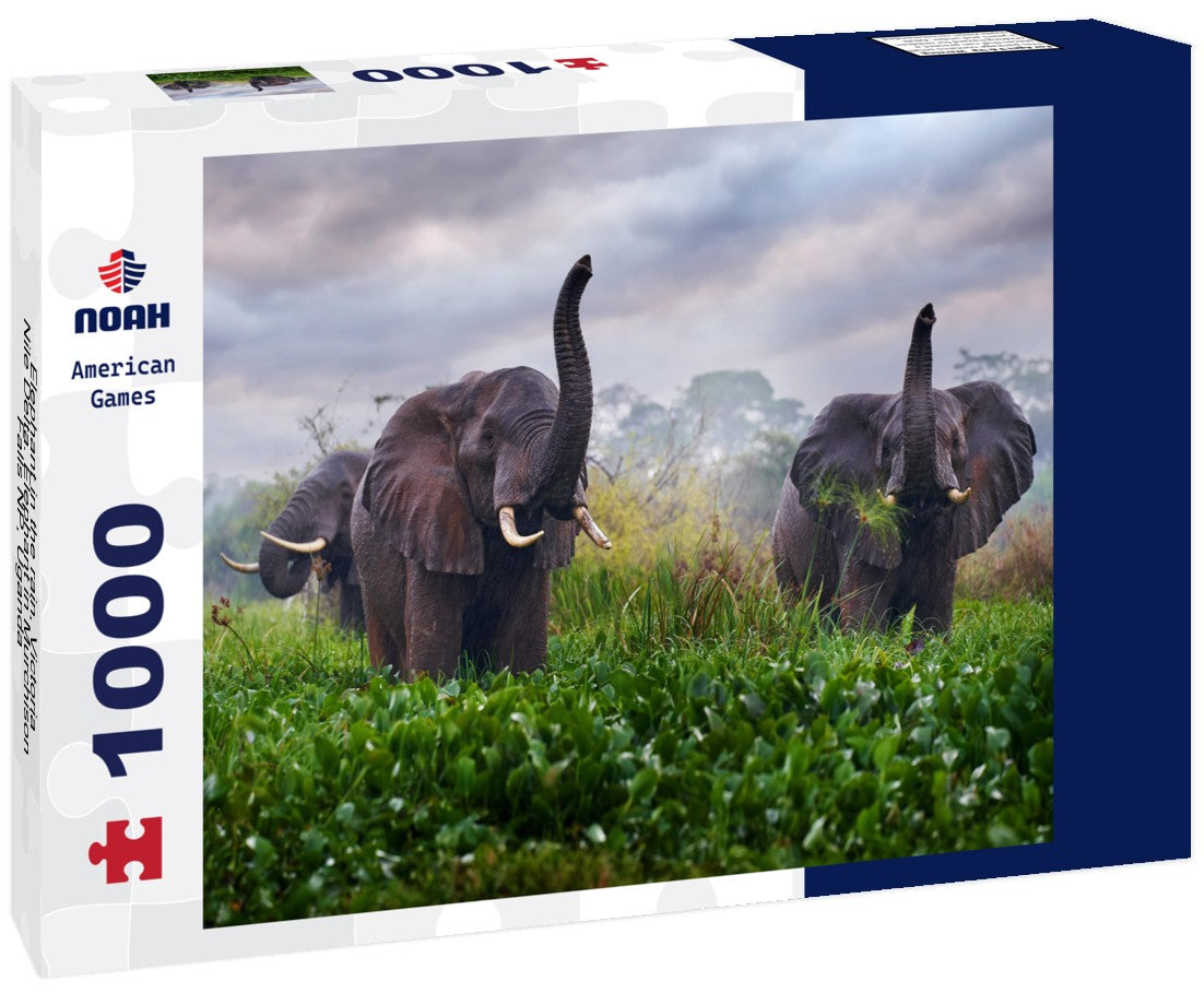 Noah Jigsaw Puzzle Elephant in the rain, Victoria Nile Delta. Elephant in Murchison Falls NP, Uganda 1000 pieces