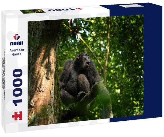 Noah Jigsaw Puzzle Chimpanzee in Kibale forest. Scold on the tree. Safari in Uganda 1000 pieces