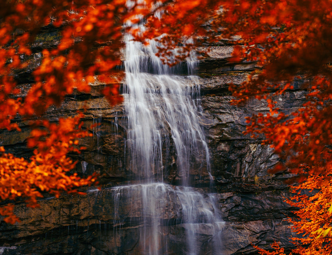 Noah Jigsaw Puzzle Morricana waterfalls in Monti della Laga, Abruzzo, Italy, in the fall season with red and orange leaves 1000 pieces