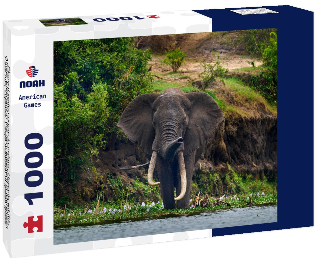 Noah Jigsaw Puzzle Elegant watercourse in nature. Uganda wildlife, Africa. Elephant in the rain. Elephant in Murchison Falls NP, Uganda. Large mammal in green grass, forest vegetation in background 1000 pieces
