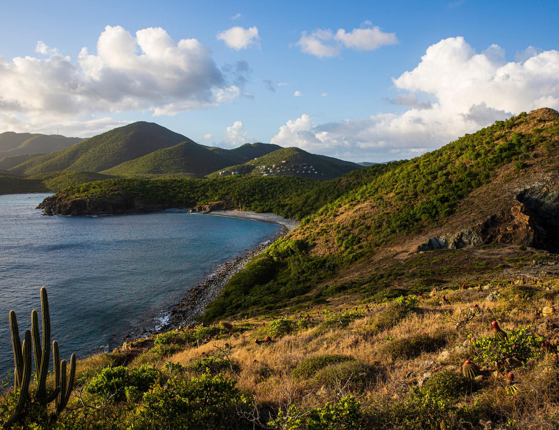 Noah Jigsaw Puzzle Beautiful landscape view of U.S. Virgin Islands National Park on the island of Saint John during the day 1000 pieces