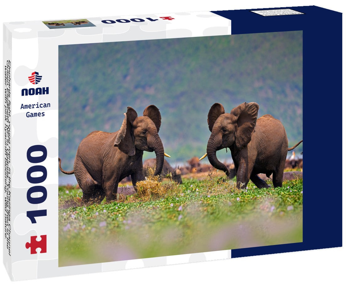 Noah Jigsaw Puzzle Elephants fight, young men, in the Kazinga Channel Queen Elizabeth NP in Uganda. Young men in the water with pink hyacinth blooming, wild nature. Wildlife Uganda. Elephant behavior 1000 pieces