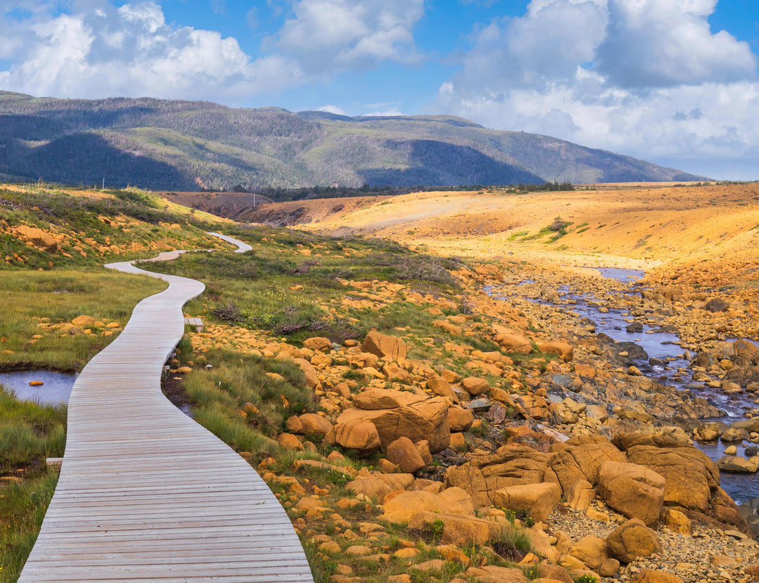Noah Jigsaw Puzzle Boardwalk on Tablelands Trail, Gros Morne National Park, Newfoundland and Labrador, Canada 1000 pieces