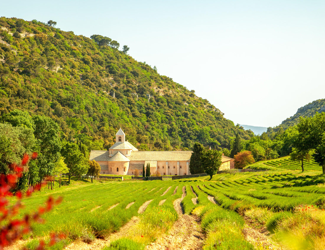 Noah Jigsaw Puzzle Abbey of Senanque, Gordes, France 1000 pieces