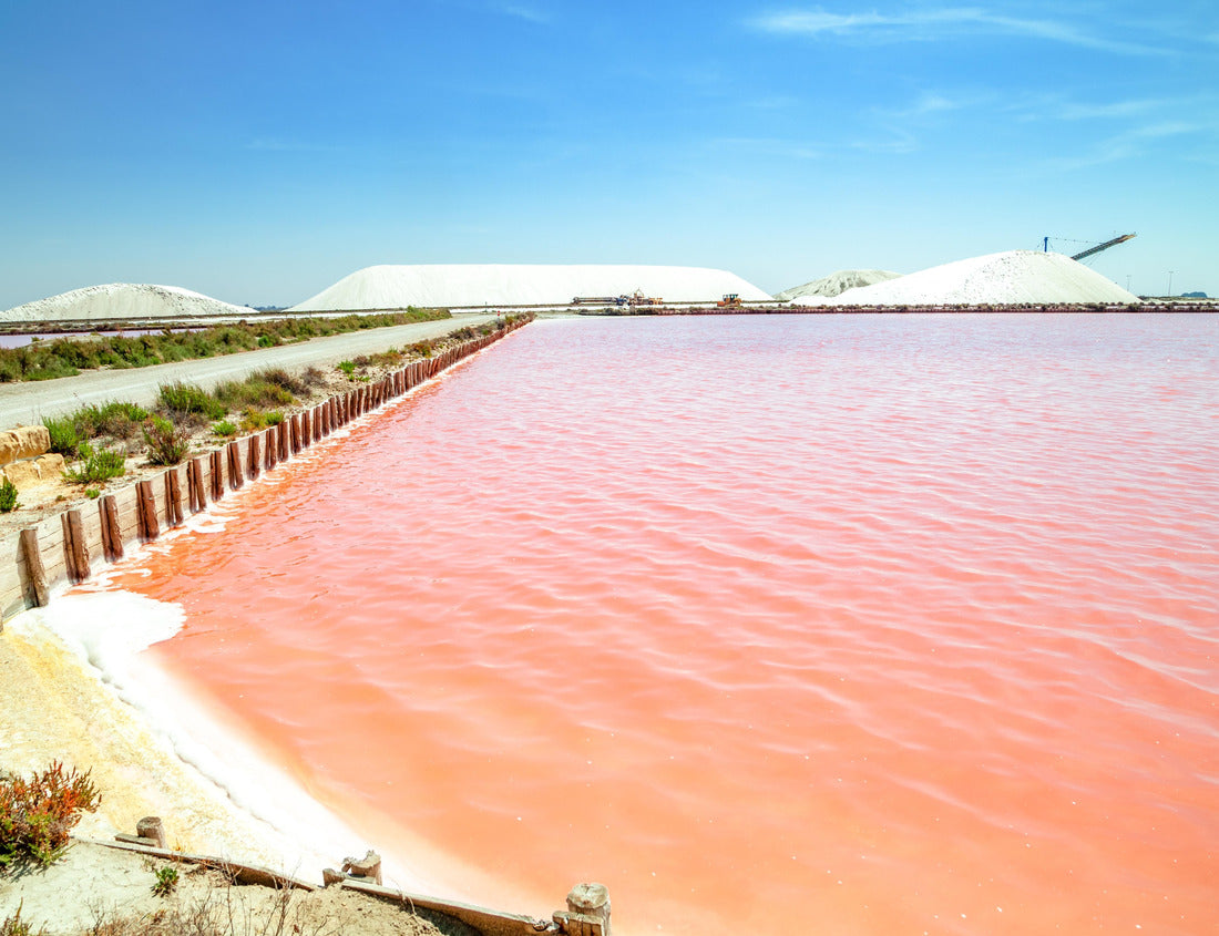 Noah Jigsaw Puzzle Aigues Mortes, Salt Lakes, France 1000 pieces