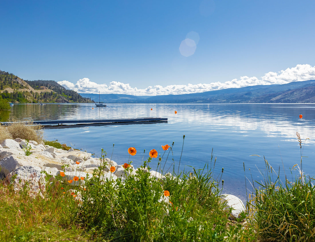 Noah Jigsaw Puzzle Kanagan Lake Canada. Summer landscape of a lake and mountains in the background in the early morning 1000 pieces