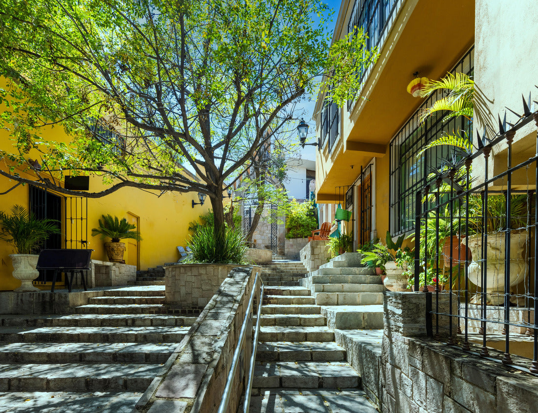 Noah Jigsaw Puzzle Durango, Victoria de Durango colonial and colorful historic city center near the central Plaza de Armas and the cathedral Basilica 1000 pieces