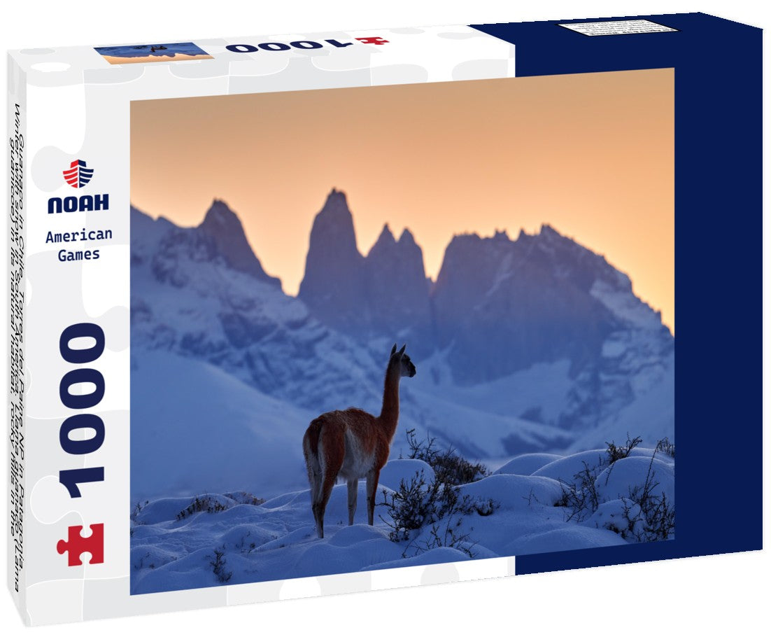 Noah Jigsaw Puzzle Guanaco in Chile, Torres del Paine NP in Patagonia. Winter with snow in South America. Llama guanaco (Lama guanicoe) in its natural habitat, rocky hills in the mountains. Sunset with snow in Patagonia 1000 pieces