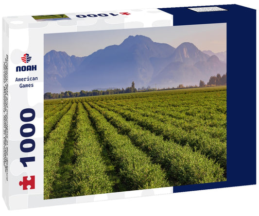 Noah Jigsaw Puzzle Blueberry field and mountains in the distance in British Columbia, blueberries ready for harvest. Blueberry farm in Vancouver 1000 pieces