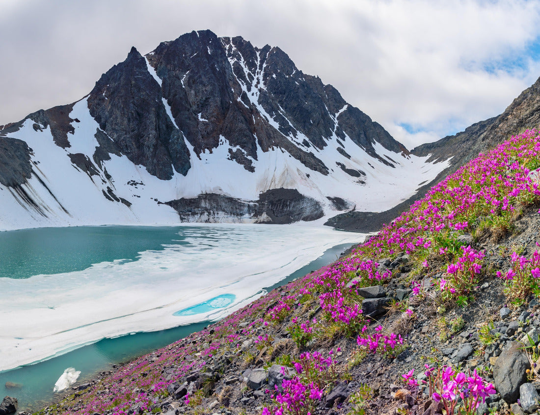 Noah Jigsaw Puzzle Incredible natural landscape in the Yukon Territory, Canada near Alaska 1000 pieces