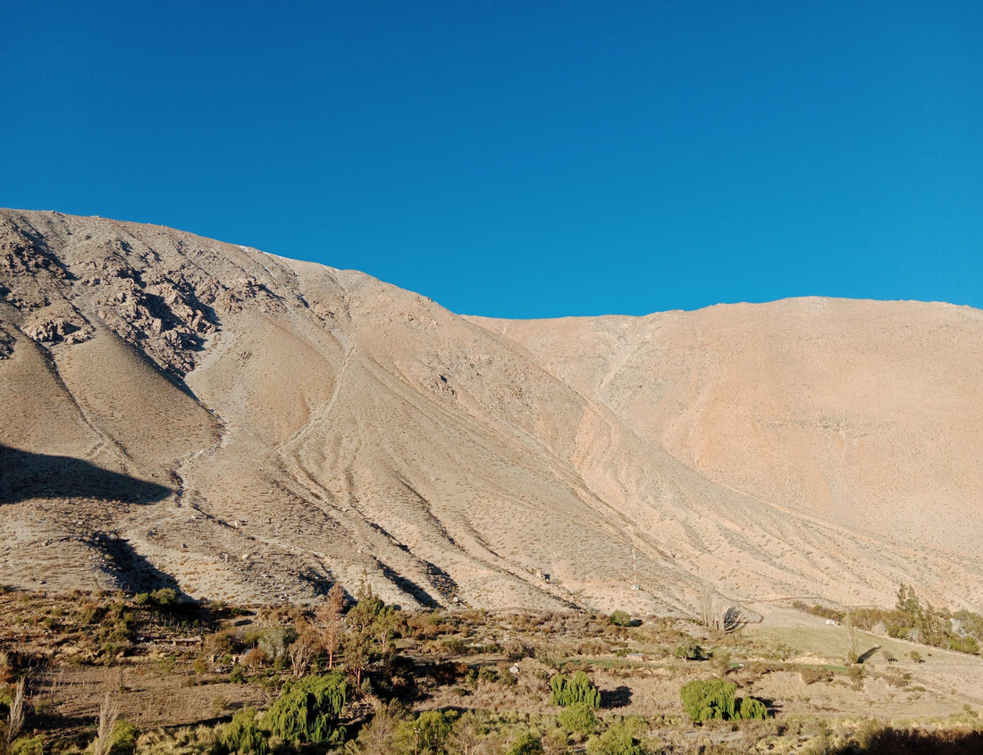 Noah Jigsaw Puzzle El Valle del Huasco, it is the valley where the Huasco River runs. It is located in the province of Huasco, Atacama Region, Chile 1000 pieces
