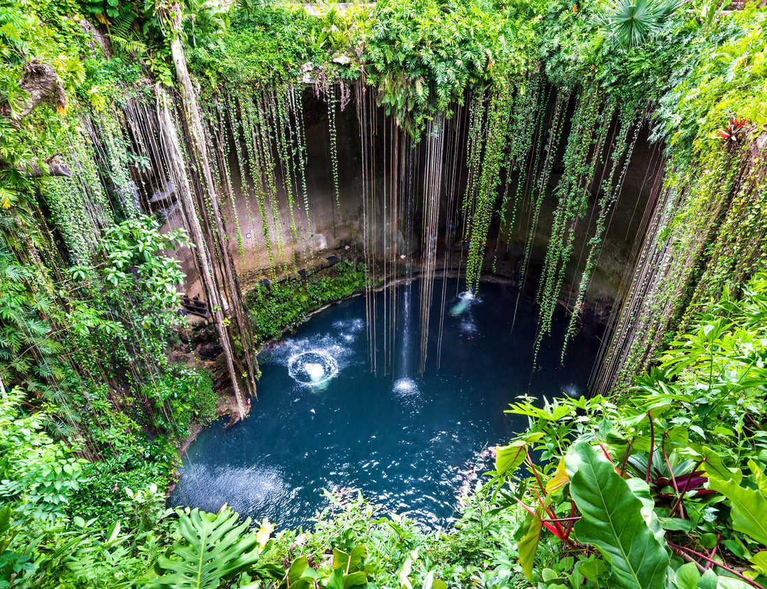 Noah Jigsaw Puzzle Ik-Kil Cenote, Chichen Itza, Mexico. Beautiful cenote with transparent water and hanging roots, Central America 1000 pieces