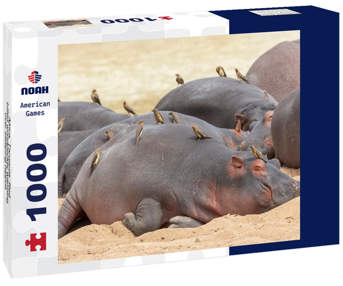 Noah Jigsaw Puzzle Africa, Tanzania. Red-billed woodpecker warming over sleeping hippos 1000 pieces