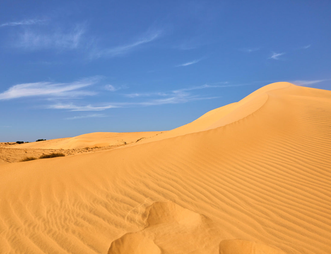 Noah Jigsaw Puzzle Magnificent desert of lompoul, with steps of men, Senegal 1000 pieces