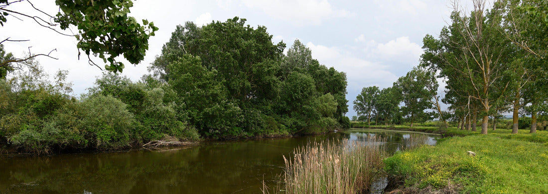Noah Jigsaw Puzzle Beautiful aerial view of the main church in San Jose Costa Rica, La Merced and the cathedral Panorama 1000 Pieces