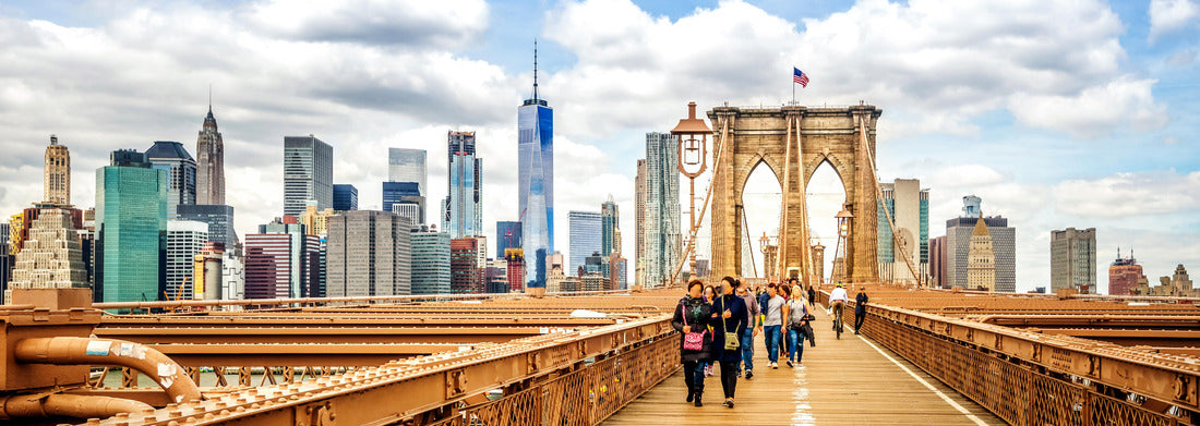 Noah Jigsaw Puzzle Columbia, Missouri, USA City skyline Panorama 1000 Pieces