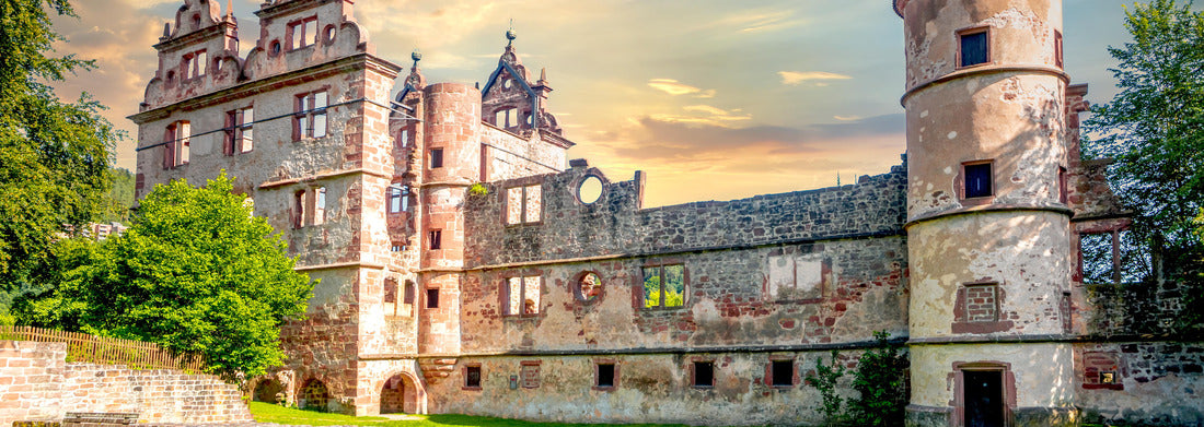 Noah Jigsaw Puzzle Dog excrement in the forest Panorama 1000 Pieces