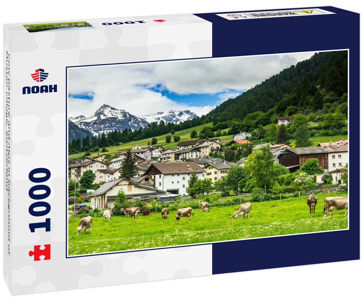 Cow pasture and Alps in background of Mustair village, Switzerland