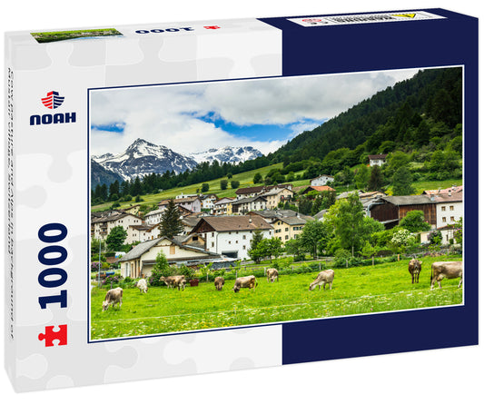 Cow pasture and Alps in background of Mustair village, Switzerland