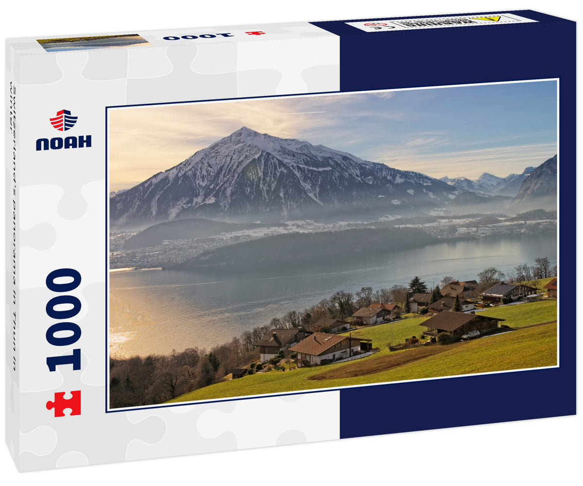 Switzerland's panorama in Thun in winter