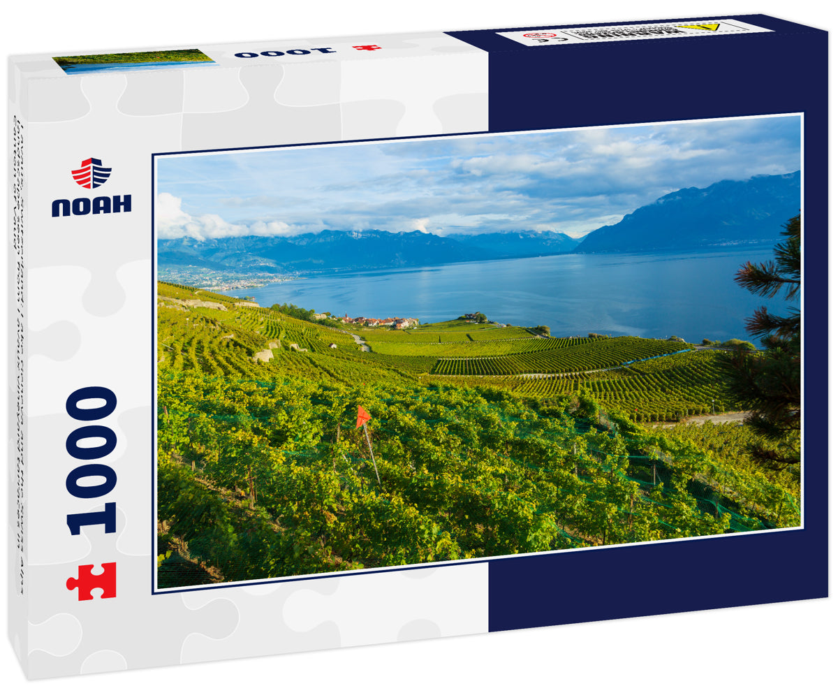 Lavaux, Switzerland: Lake Geneva and the Swiss Alps landscape seen from Lavaux vineyard tarraces in Canton of Vaud
