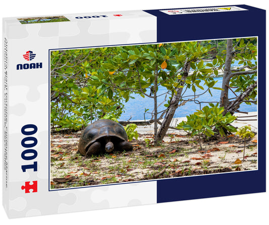 Aldabra giant tortoise, Curieuse Marine National Park, Curieuse, Seychelles