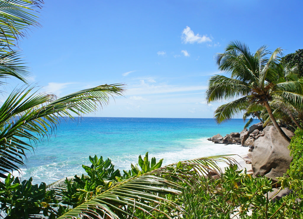 Beautiful palm beach on tropical Seychelles island. White sand beach with trees on shore Indian ocean. Paradise secluded beach at summer season
