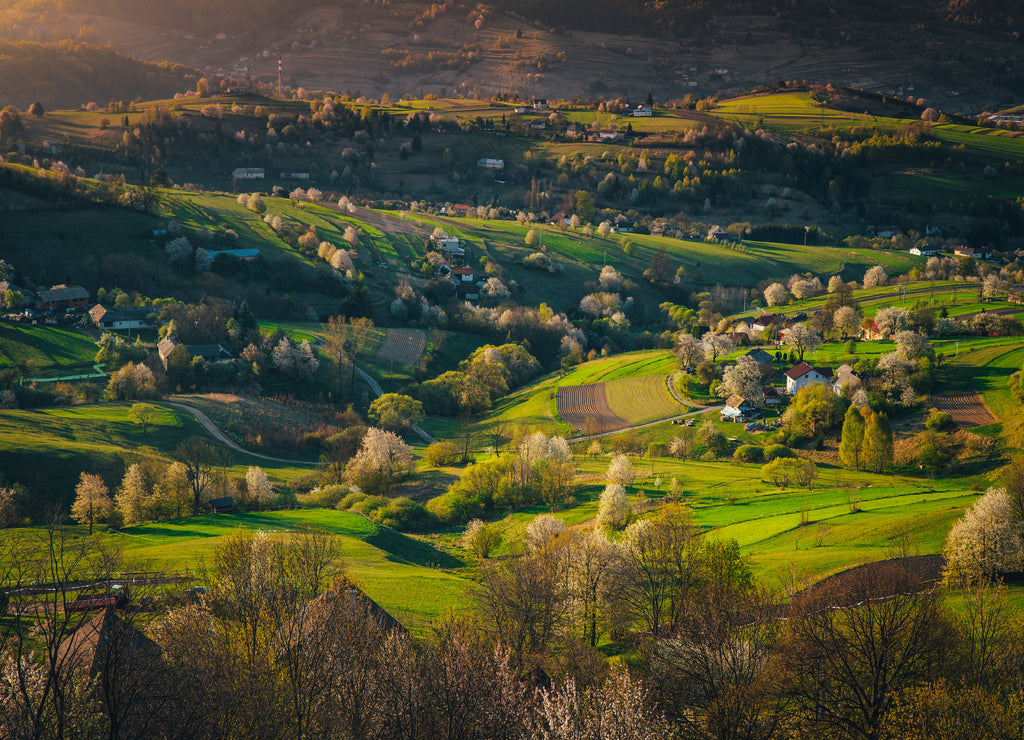 Spring sunrise in a rural landscape with blossoming cherries and bright green fields and small houses. The first rays of the sun in the village Hrinova in Slovakia