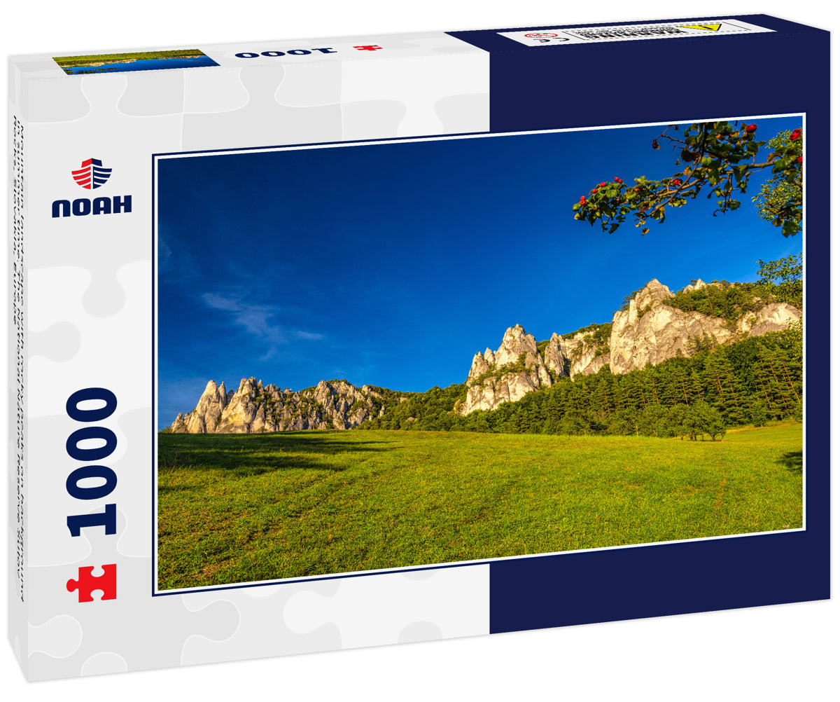 Mountain landscape with rocky peaks on background in summer time. The National Nature Reserve Sulov Rocks, Slovakia, Europe