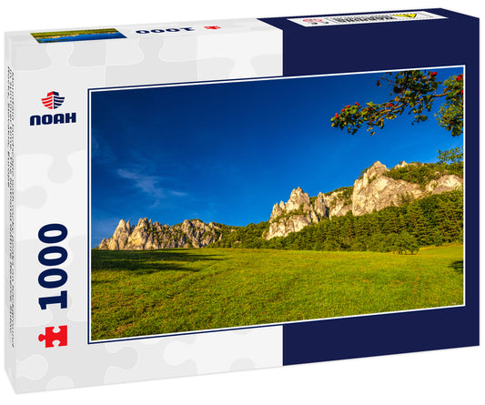 Mountain landscape with rocky peaks on background in summer time. The National Nature Reserve Sulov Rocks, Slovakia, Europe