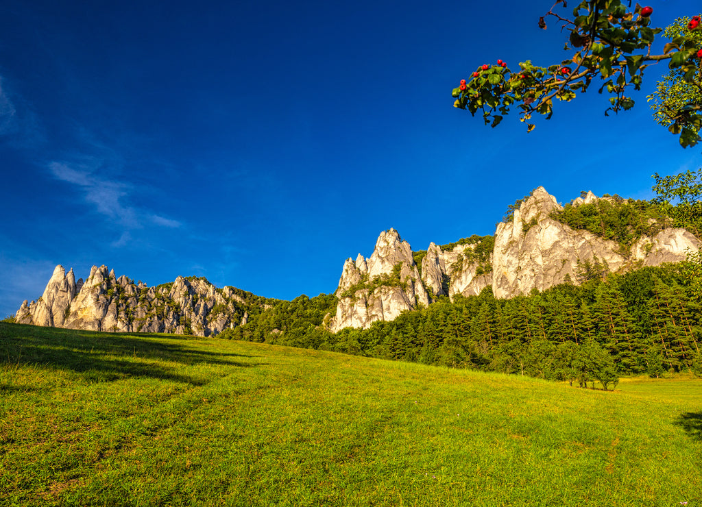 Mountain landscape with rocky peaks on background in summer time. The National Nature Reserve Sulov Rocks, Slovakia, Europe
