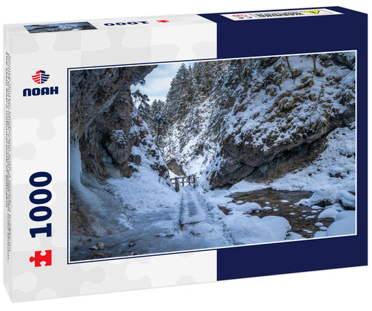 Snowy winter landscape with a wooden bridge on tourist trail through a narrow gorge with wild stream. The Mala Fatra national park in Slovakia