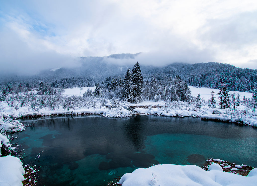 Sava river spring, Zelenci, Gorenjska region, Slovenia