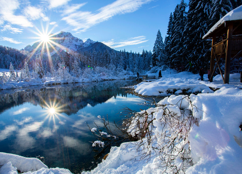 Zelenci - Sava river spring near Kranjska gora, Slovenia - winter landscape