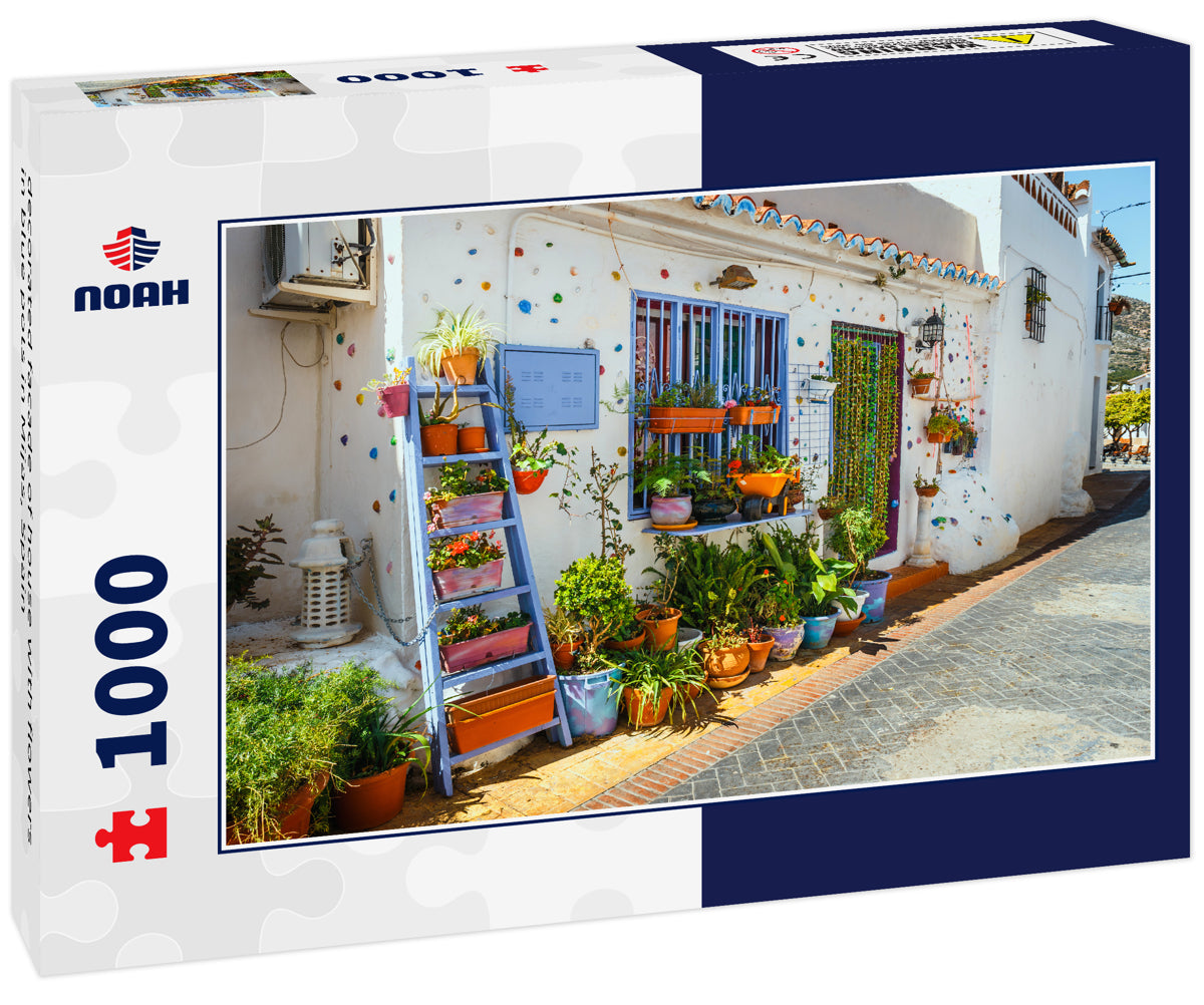 decorated facade of house with flowers in blue pots in Mijas, Spain