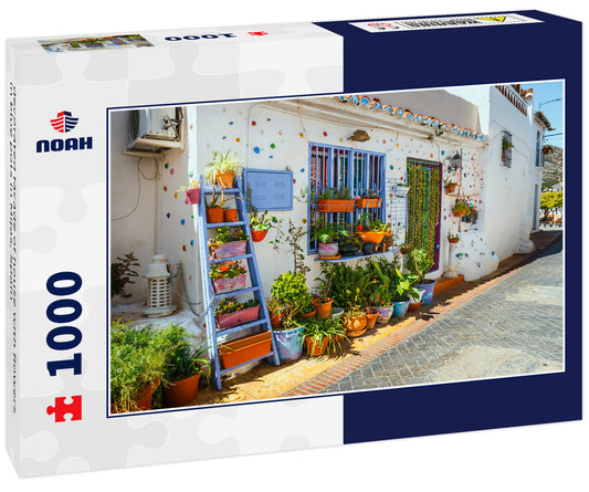 decorated facade of house with flowers in blue pots in Mijas, Spain