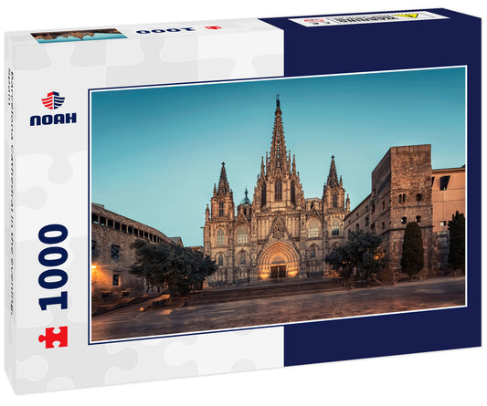 Barcelona Cathedral in the evening, Spain