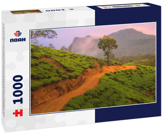 Landscape countryside view of Sri Lankan hill country, and terraced tea plantation in Nuwara Eliya village, Sri Lanka with a dramatic, colourful sunset or sunrise sky