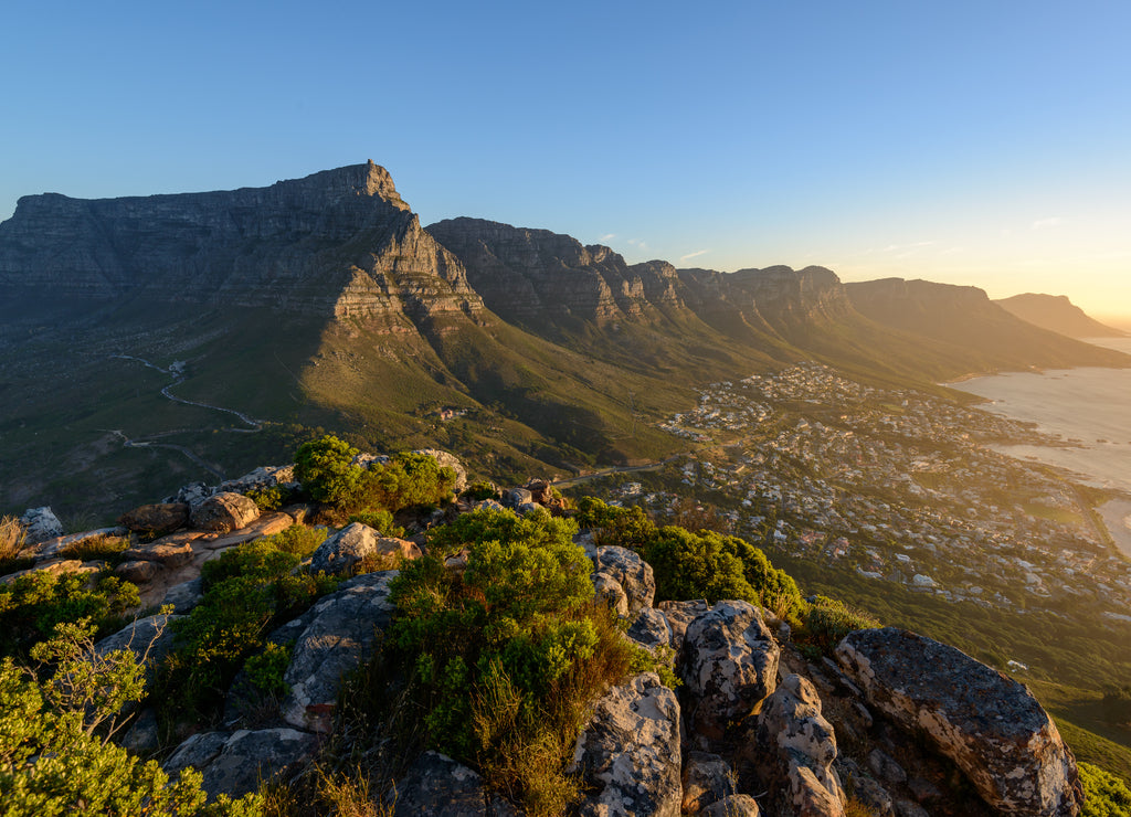 View of Table Mountain and 12 Apostles from Lion's Head. Cape Town. Western Cape. South Africa