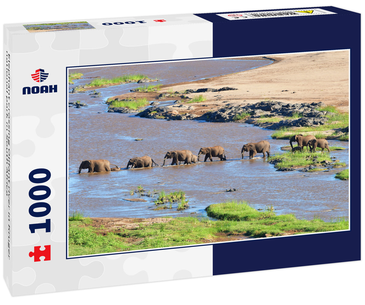 Elephant crossing Olifant river in Kruger national park in South Africa